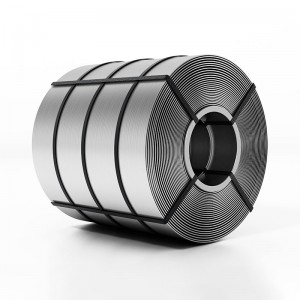 Stainless Steel Coil